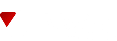 Vexion Logo